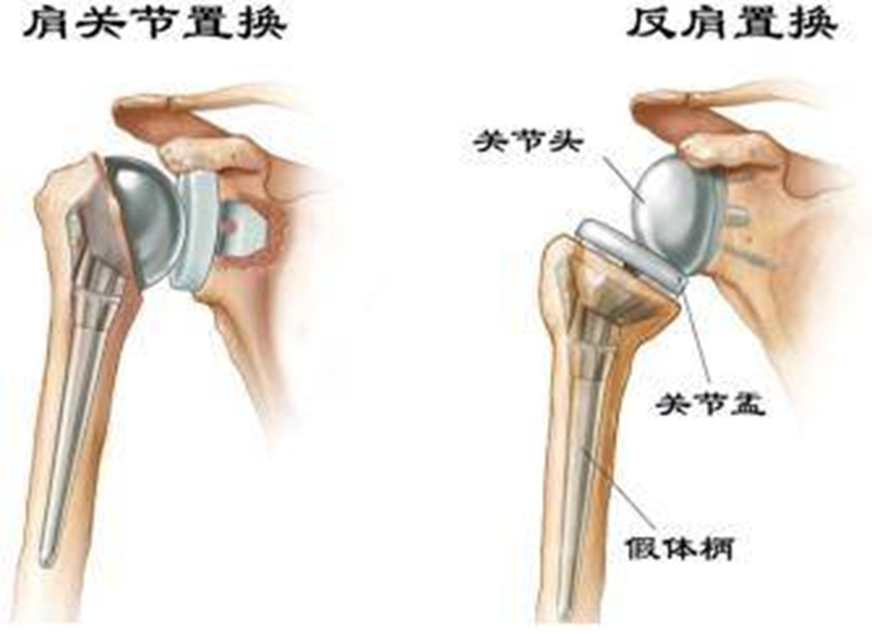 微信图片_20220309081518.png