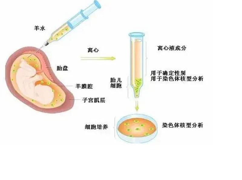 微信图片_20220411083920.jpg