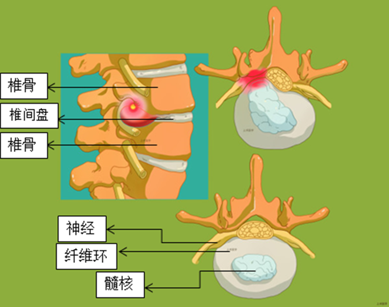 微信图片_20220531081544.png