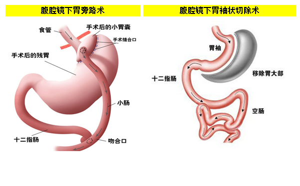 微信图片_20250421143558.png